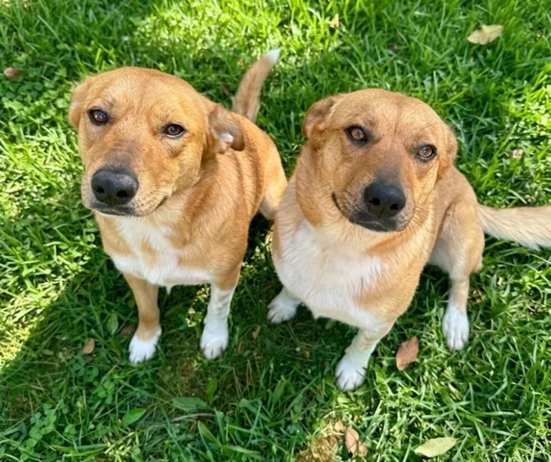 Sunny Boo thumbnail 3