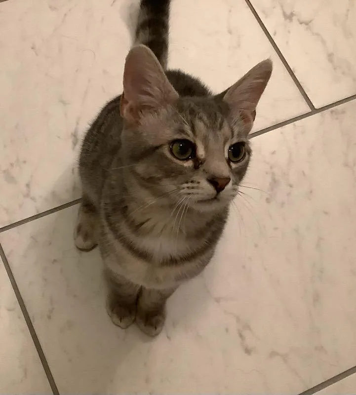 John Oates thumbnail 2