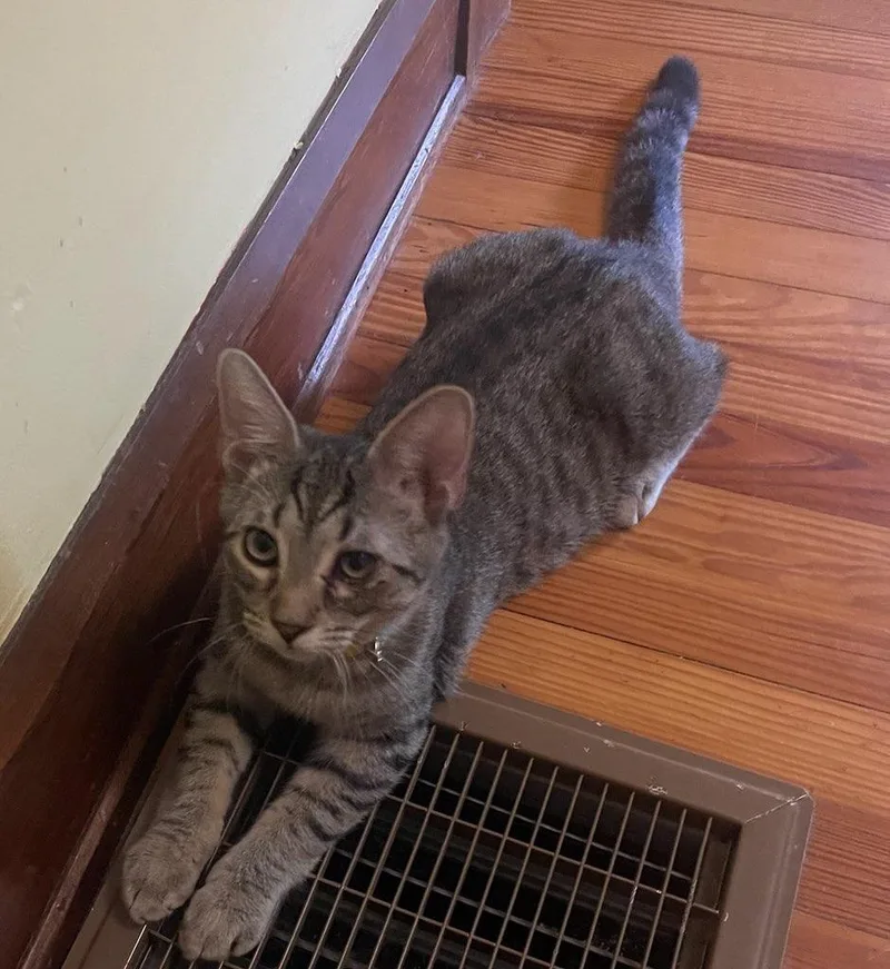 John Oates thumbnail 3