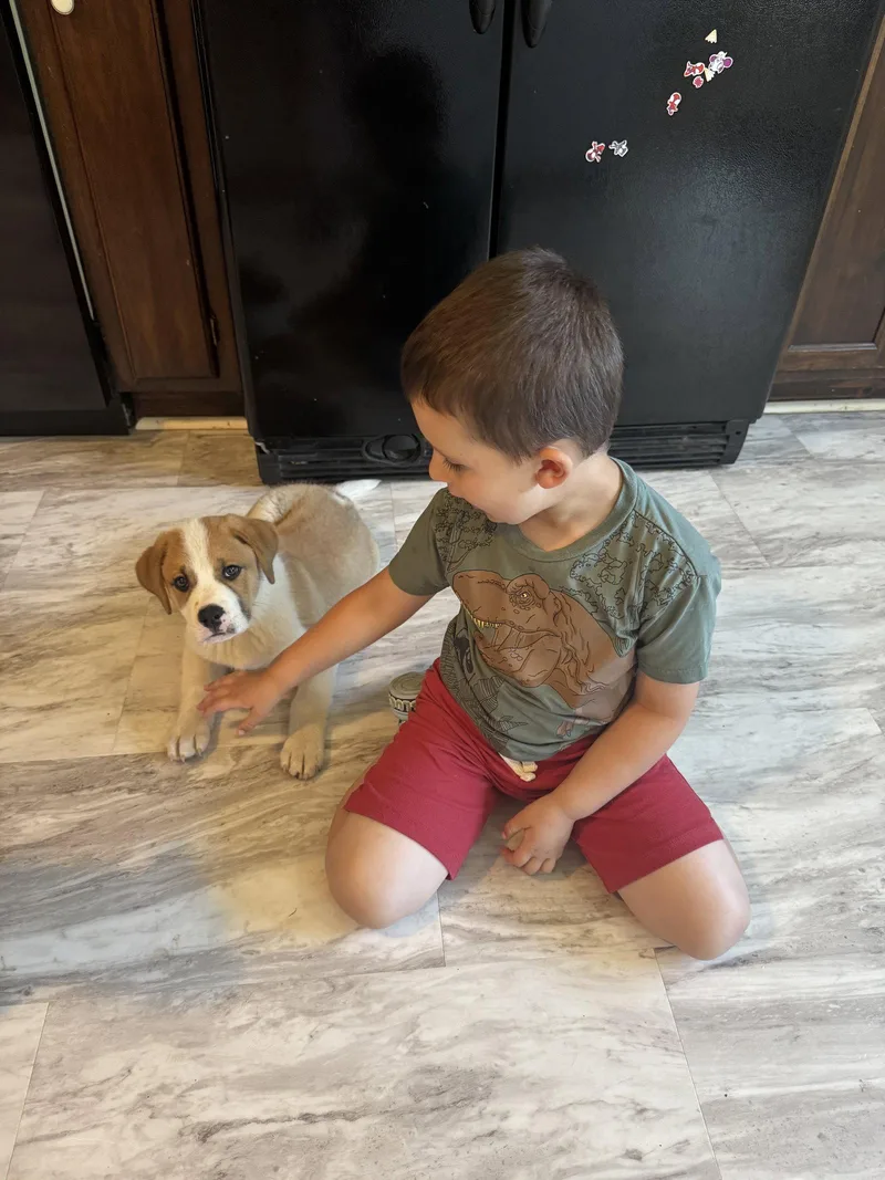Milo