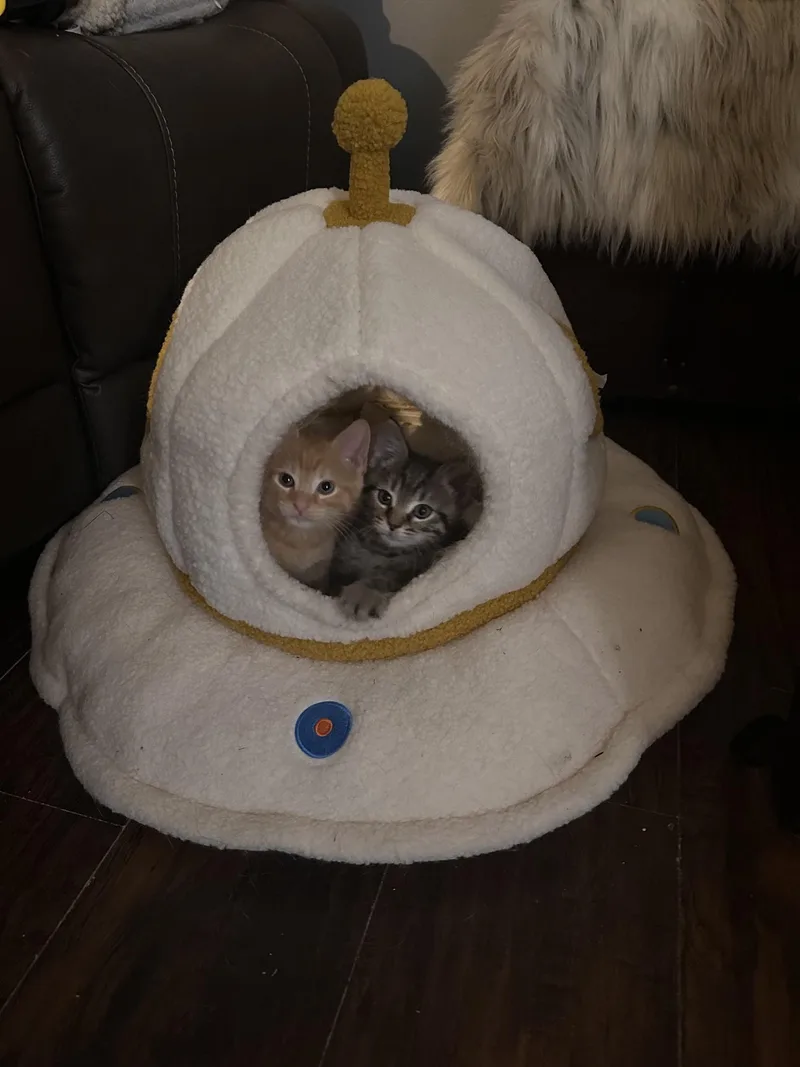 Ground Control thumbnail 3