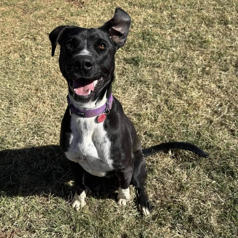 Jenny From The Block