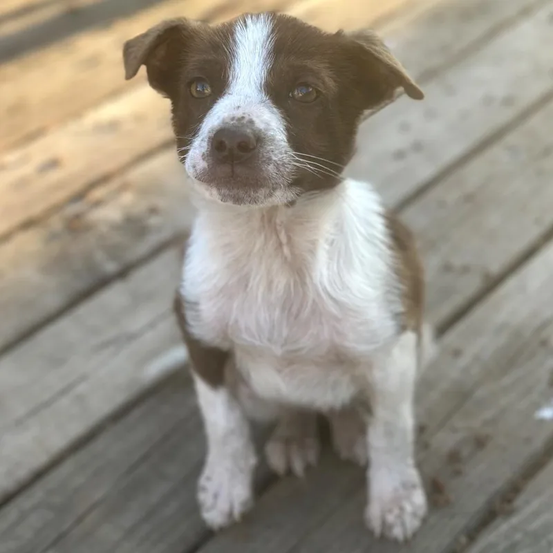 Cartwheel thumbnail 5