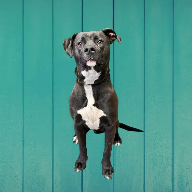 Sebastian thumbnail 2