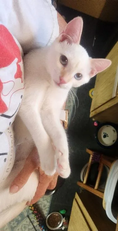 Malina Loves to perch thumbnail 2