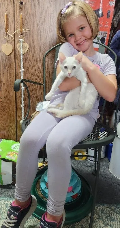 Malina Loves to perch thumbnail 4