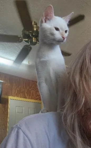 Malina Loves to perch thumbnail 5