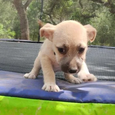 Finn thumbnail 2