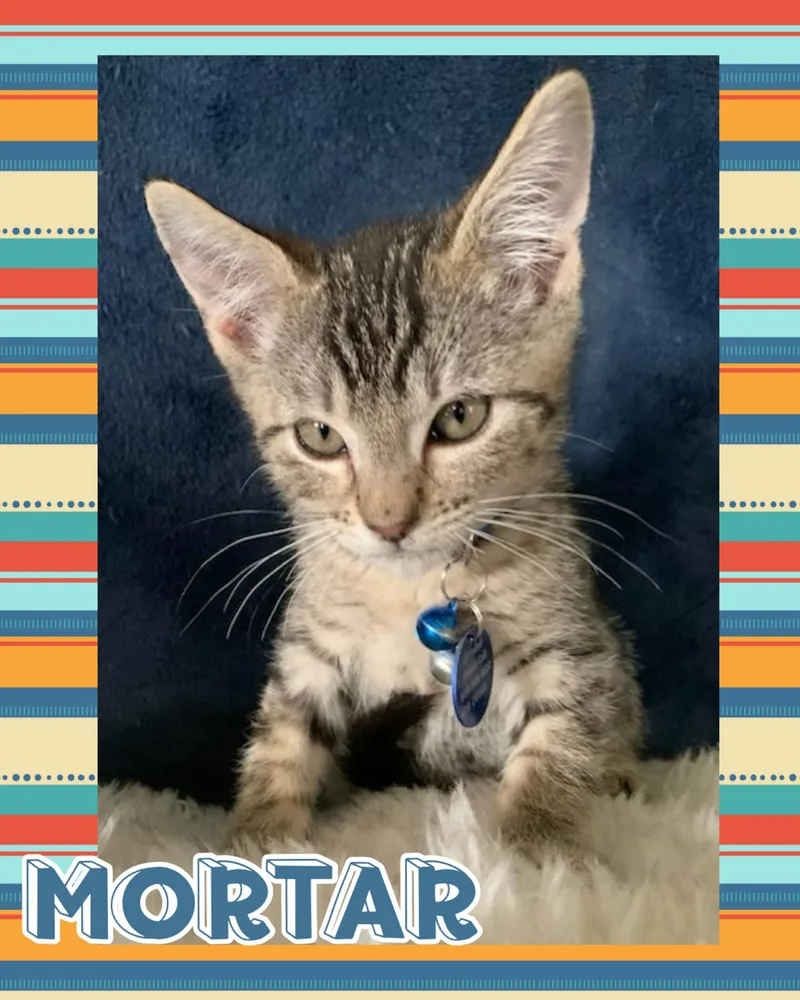 Mortar thumbnail 2
