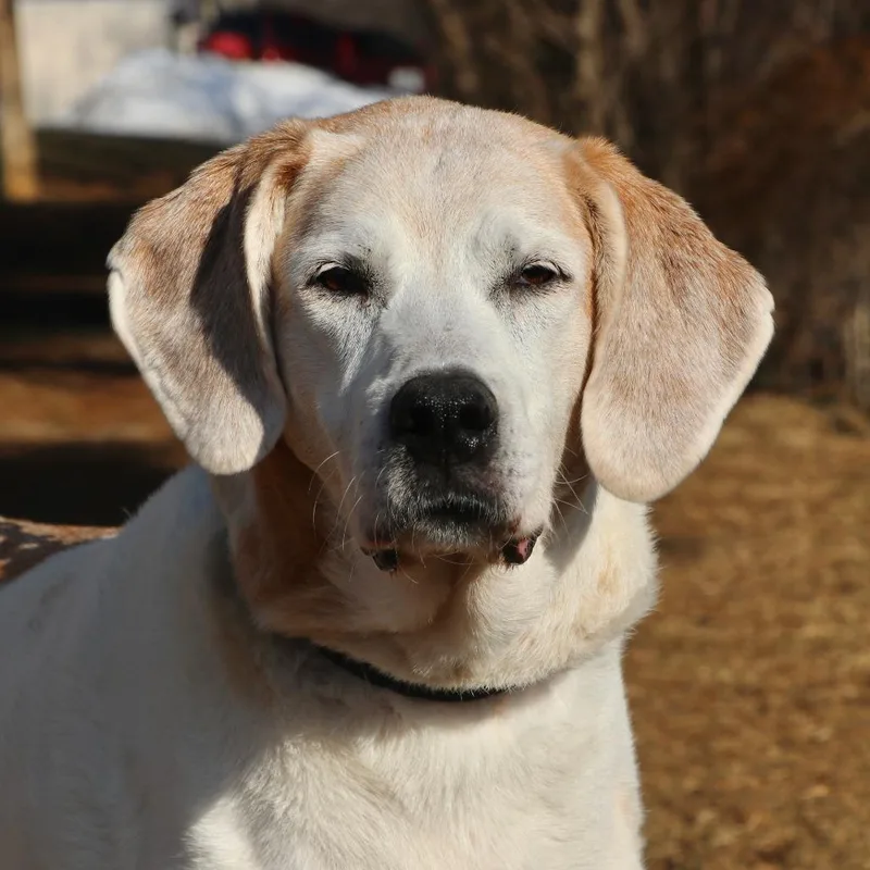 Lillypad thumbnail 2