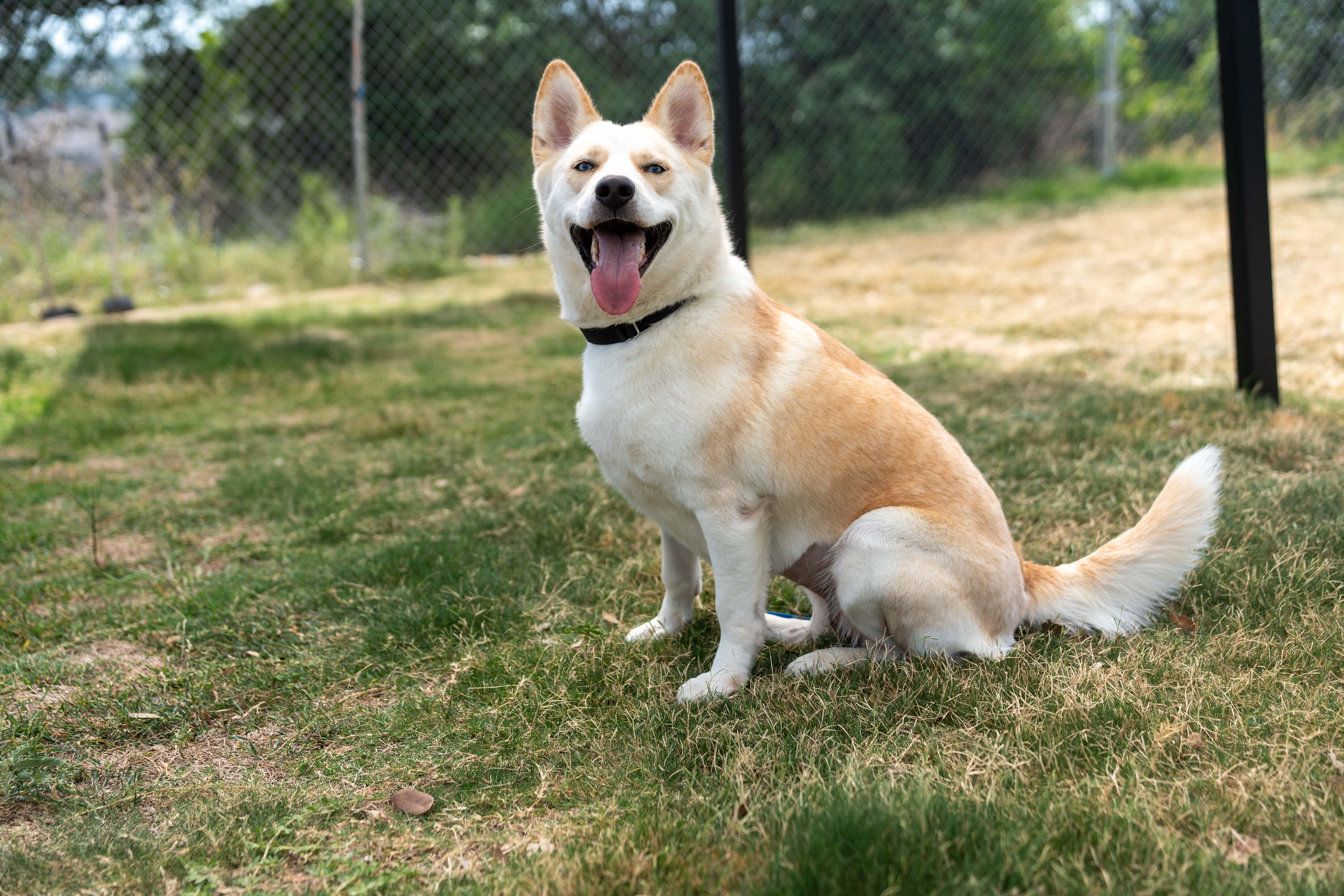 Florence thumbnail 2