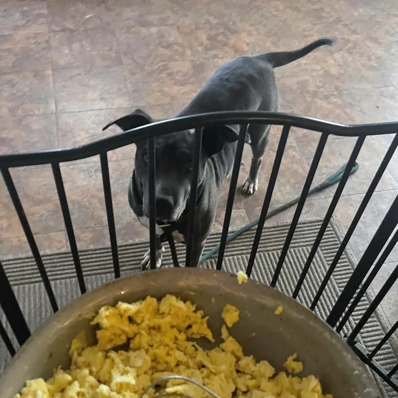 Miss Juliet thumbnail 4