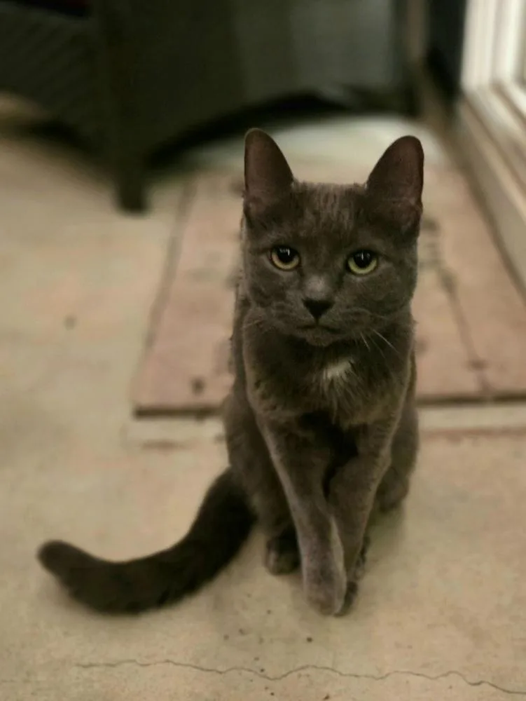 Cinder Fall thumbnail 3