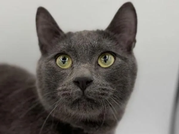 Fax Machine thumbnail 2