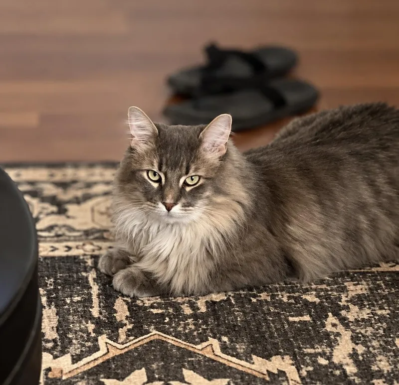 Smokey Burke thumbnail 3
