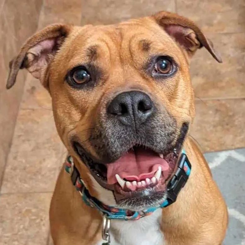 Birgitte thumbnail 3