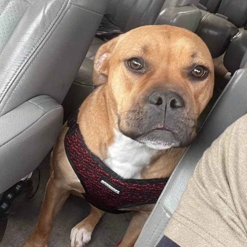 Birgitte thumbnail 4