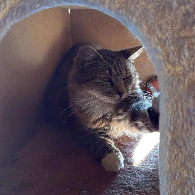Gracie Mae thumbnail 2