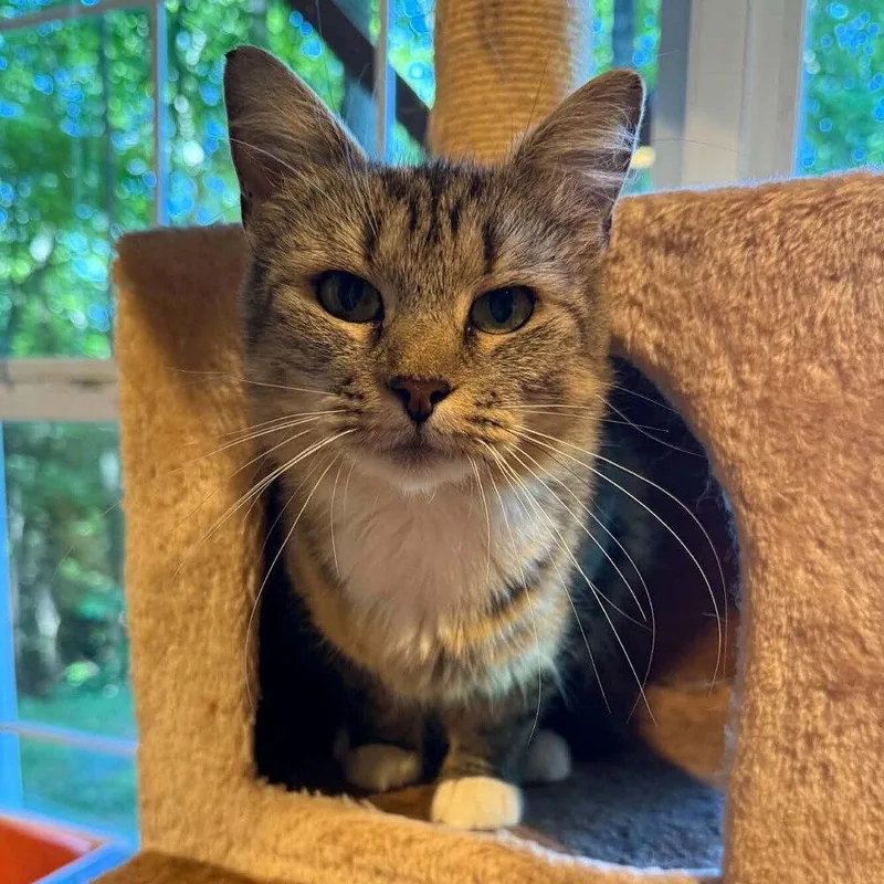 Gracie Mae thumbnail 3