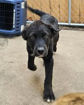 Jordan Michael thumbnail 2