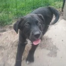 Jordan Michael thumbnail 3