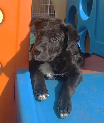 Jordan Michael thumbnail 4