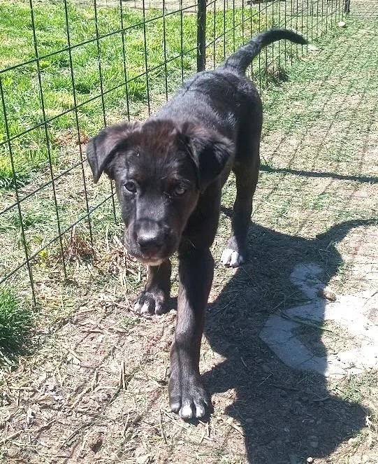 Jordan Michael thumbnail 5