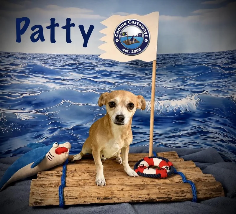 Patty thumbnail 2