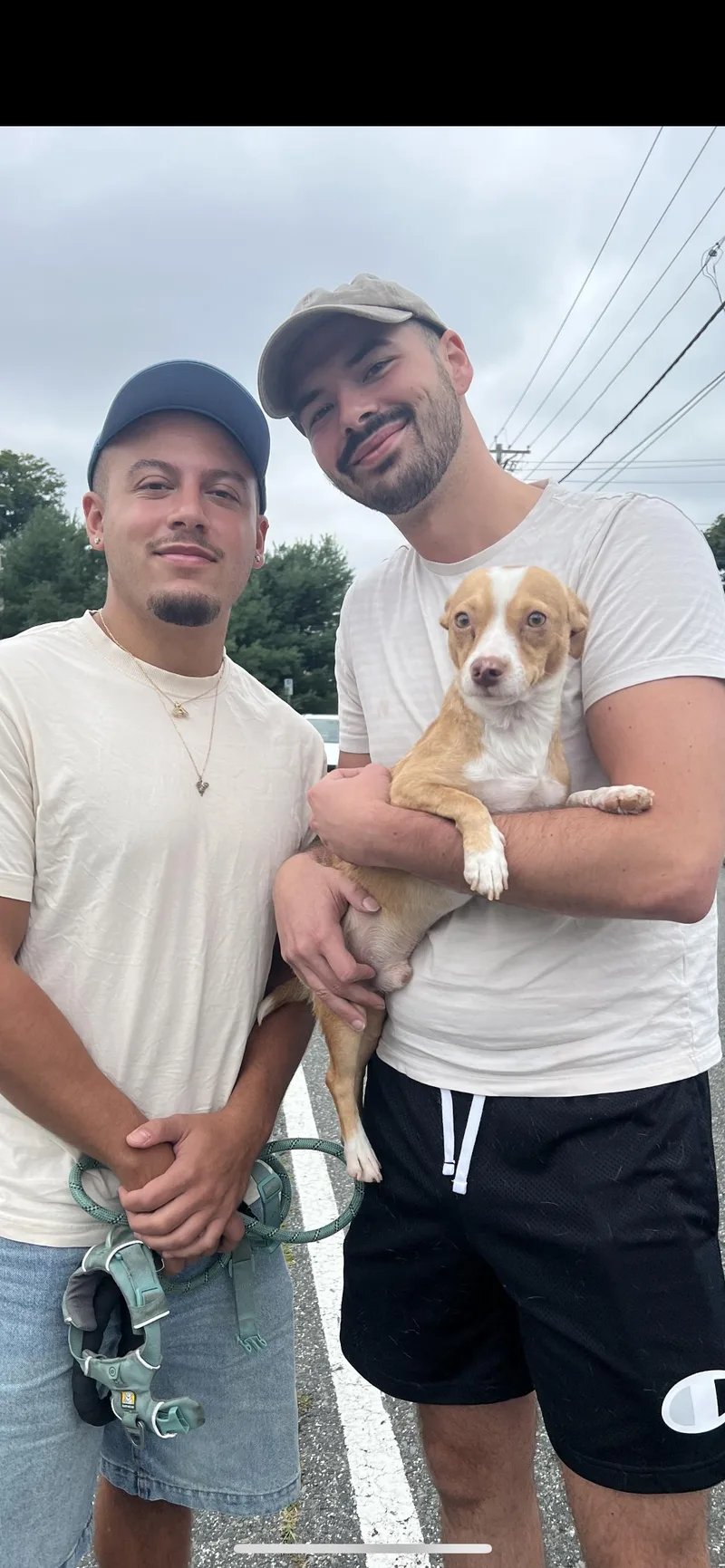 Paco thumbnail 6