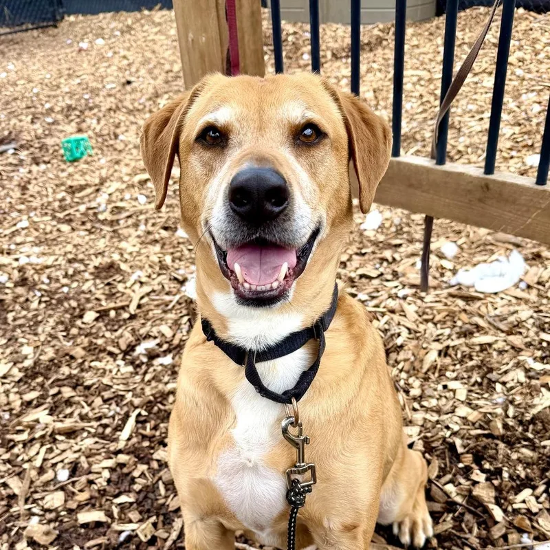 Polo  My Fee thumbnail 2