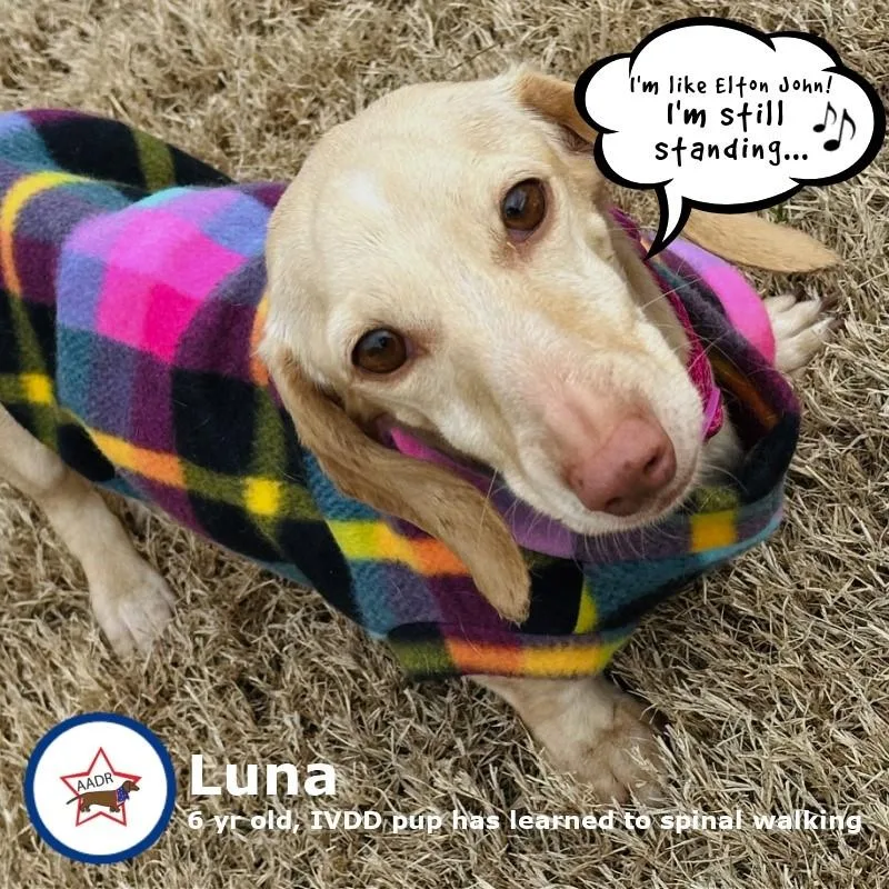 Luna In Ky thumbnail 2