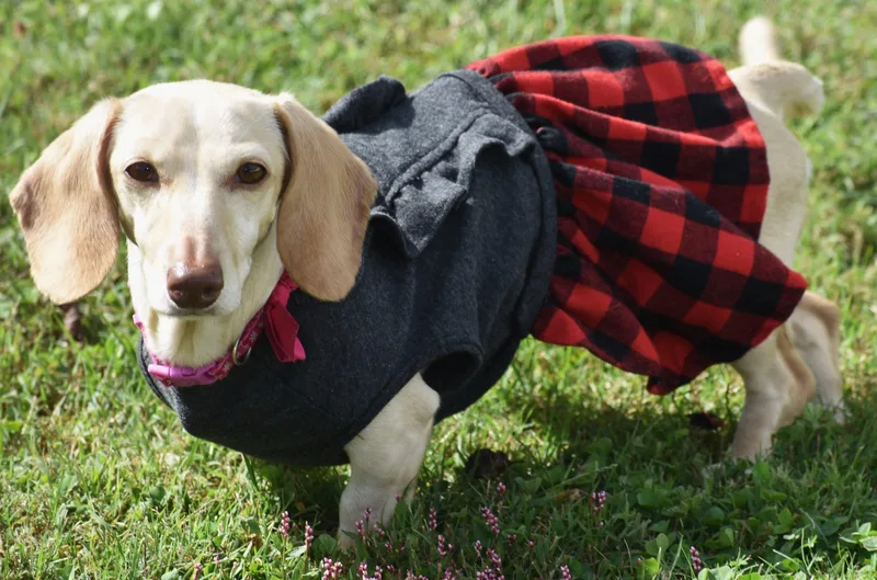 Luna In Ky thumbnail 5