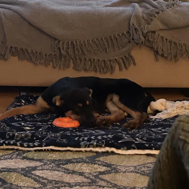 Mussik Maker thumbnail 3