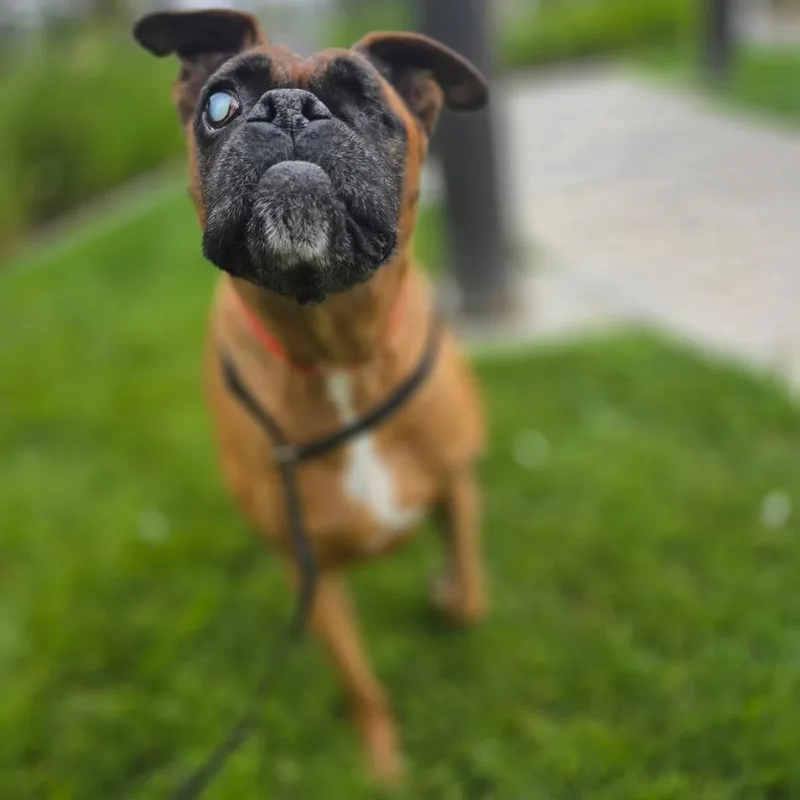 Coco thumbnail 3