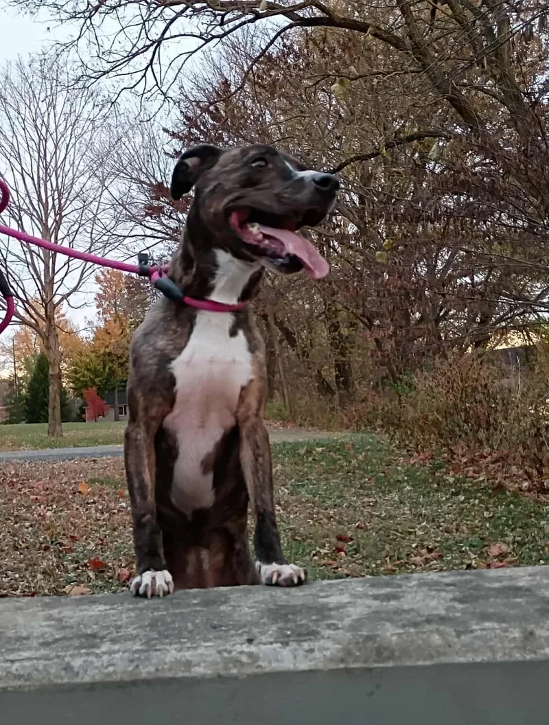 Lady Percy Aka Miss thumbnail 4