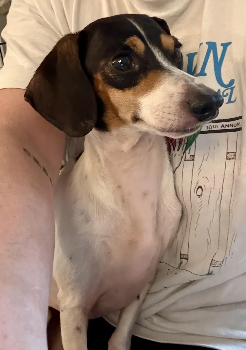 Nellie thumbnail 2
