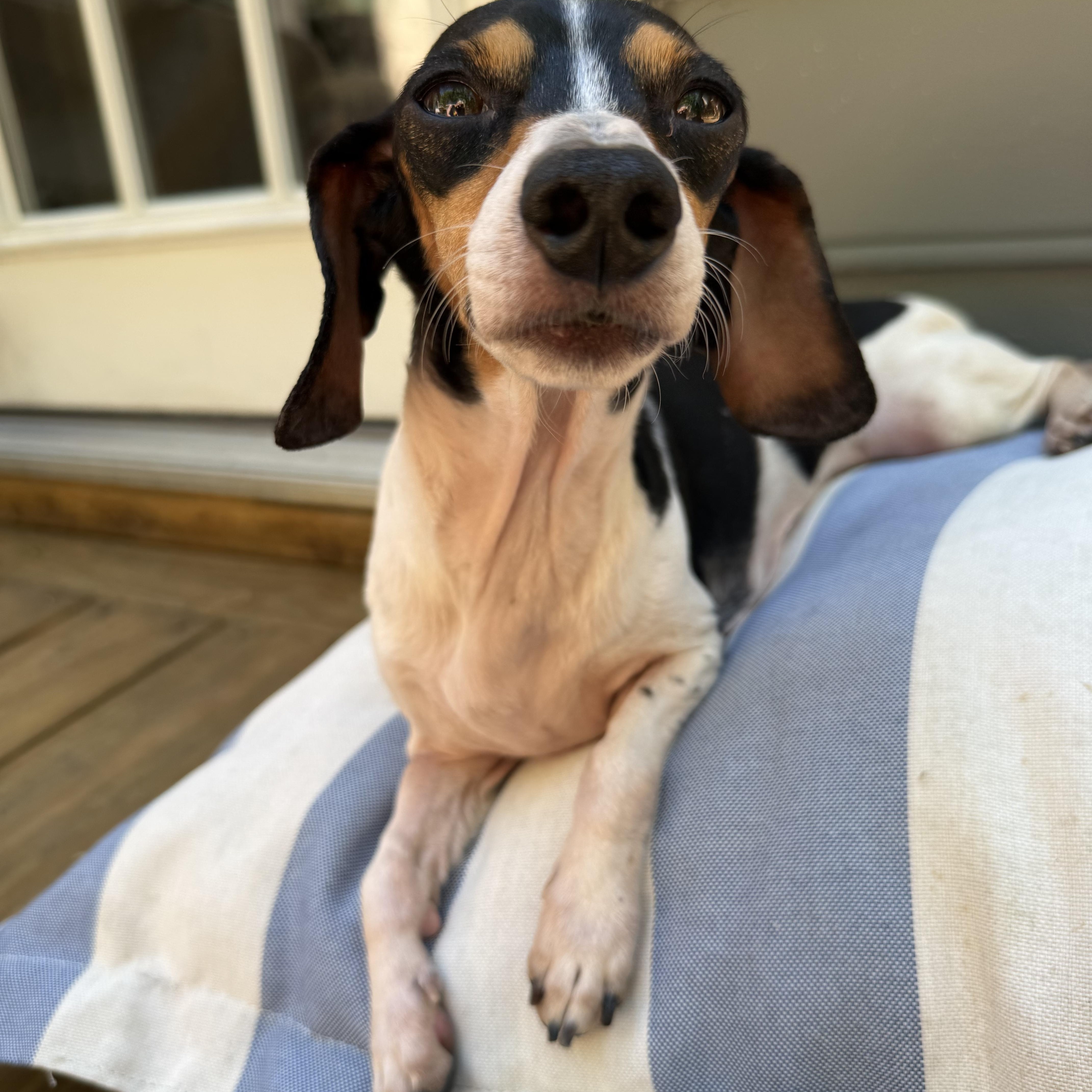 Nellie thumbnail 6