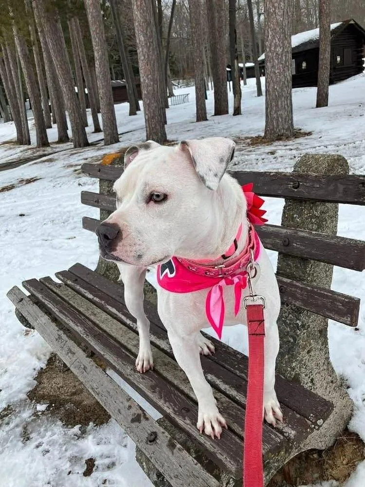 Snow White thumbnail 2