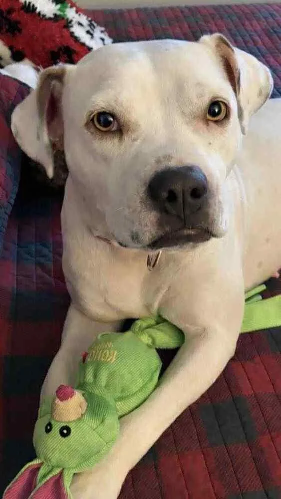 Snow White thumbnail 3