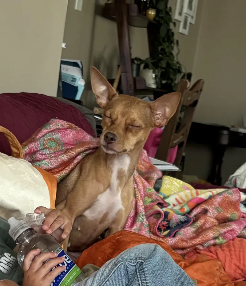 Coco thumbnail 3