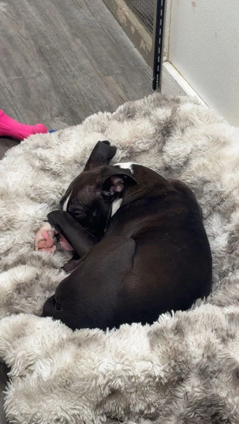 Matilda