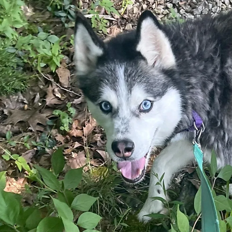 Daisy Marie thumbnail 5