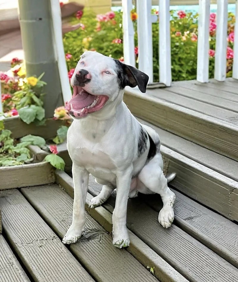 Buster Boy thumbnail 2