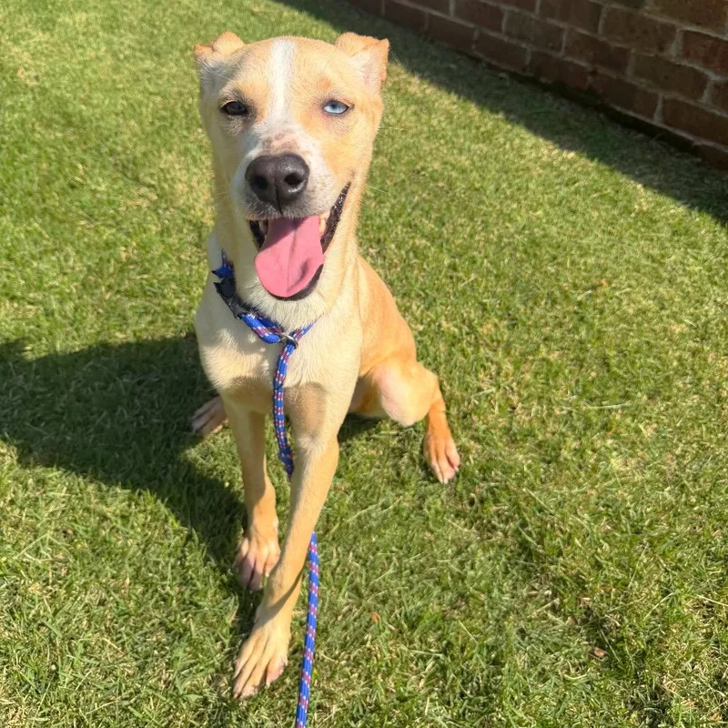 Winifred thumbnail 2