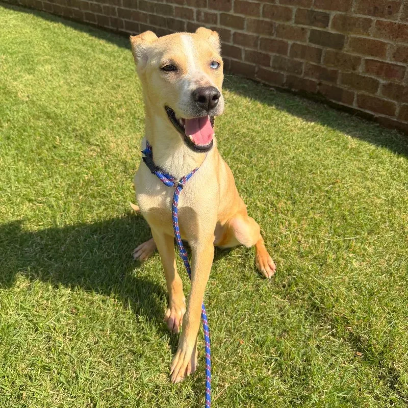 Winifred thumbnail 3