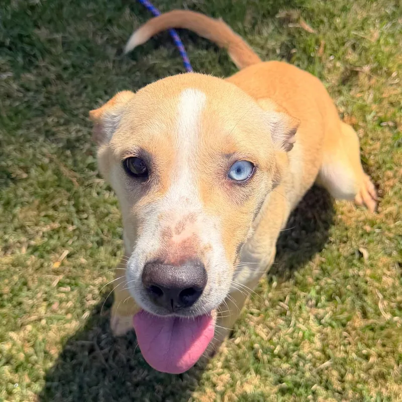 Winifred thumbnail 4