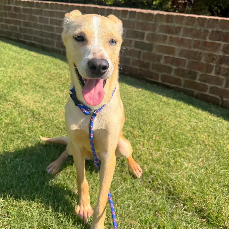 Winifred thumbnail 5