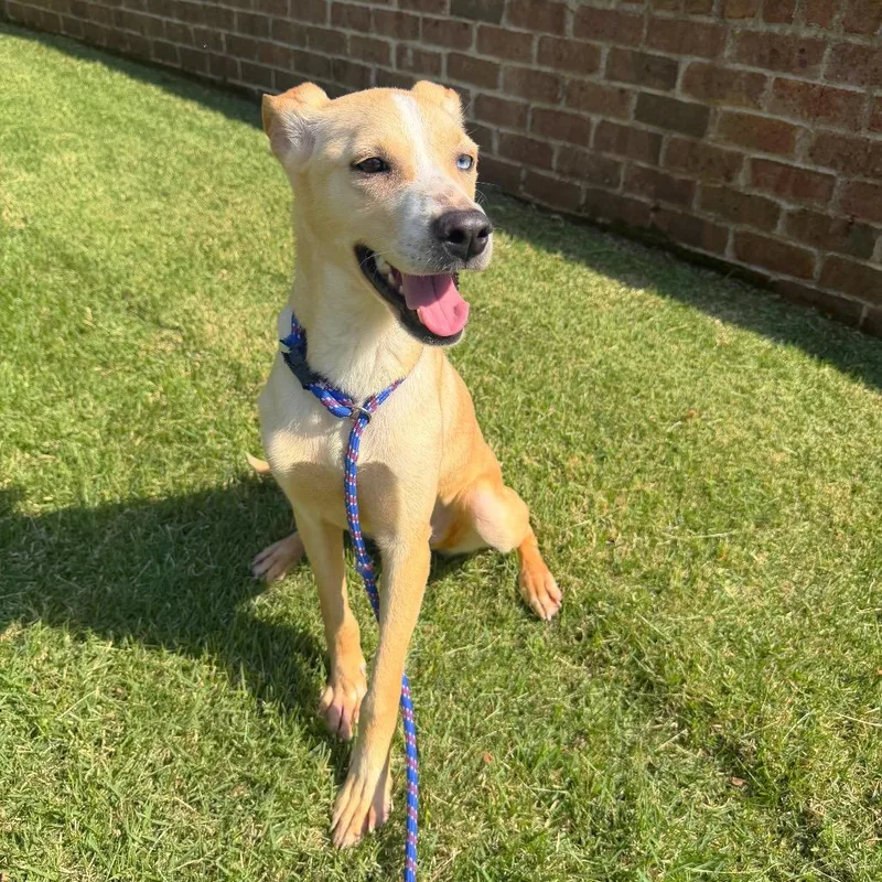 Winifred thumbnail 6