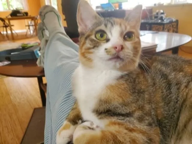 Isabella thumbnail 4