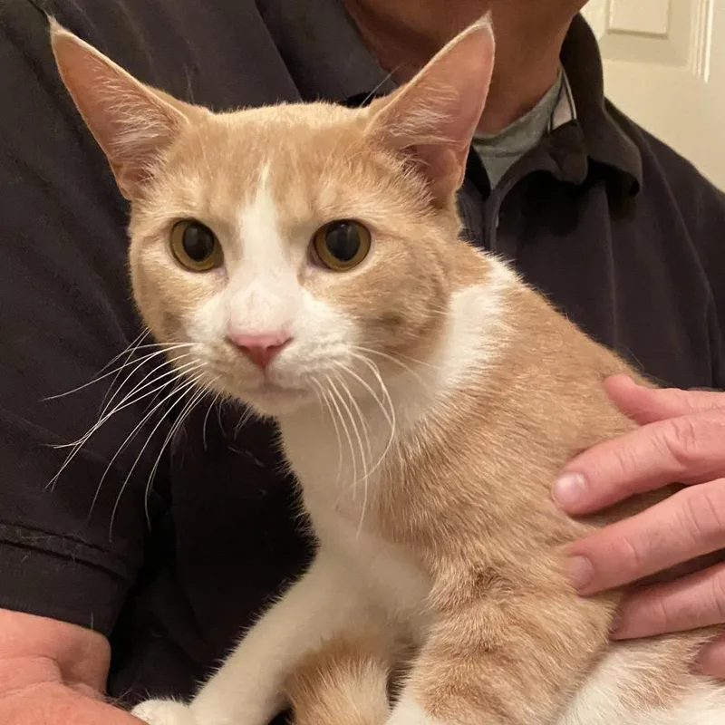 Tito